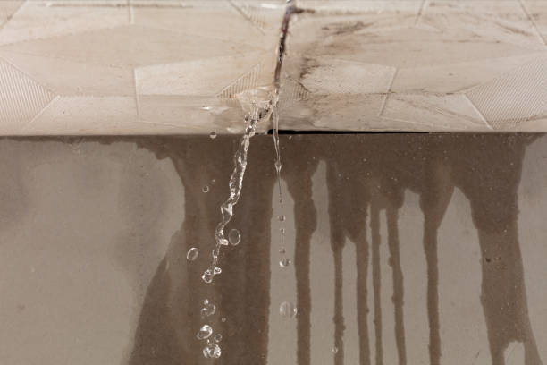 Professional Structural Drying technician working in Muskegon, MI